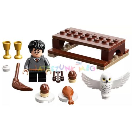 LEGO 30420 Harry Potter: Harry Potter és Hedwig Bagolyszállítás