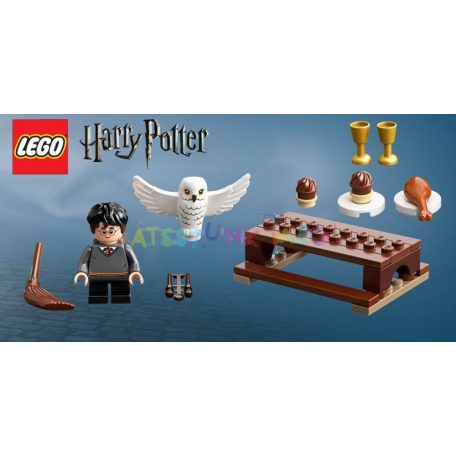 LEGO 30420 Harry Potter: Harry Potter és Hedwig Bagolyszállítás