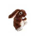 Ravendsen Rushden : nyuszi plüss