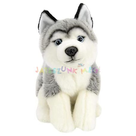 ToysRus Husky kutya plüss 25cm