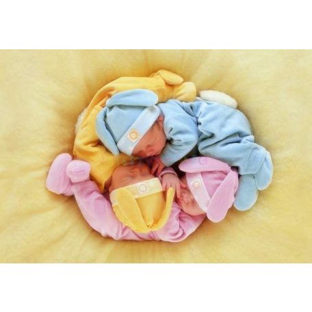 Educa Egy fészekalja alvó baba - Anne Geddes sorozat 500 db-os (13804)