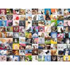 Ravensburger 99 Aranyos cicák 1000db-os kirakó (801664)