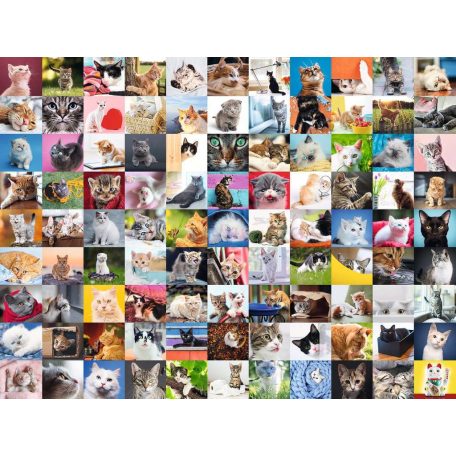 Ravensburger 99 Aranyos cicák 1000db-os kirakó (801664)