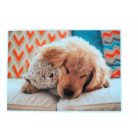 Puzzle 1000db-os - Aranyos kiskutya