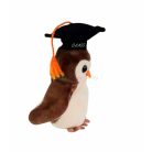 Ty Beanie Babies WISE "1998 érettségiző" bagoly 20cm